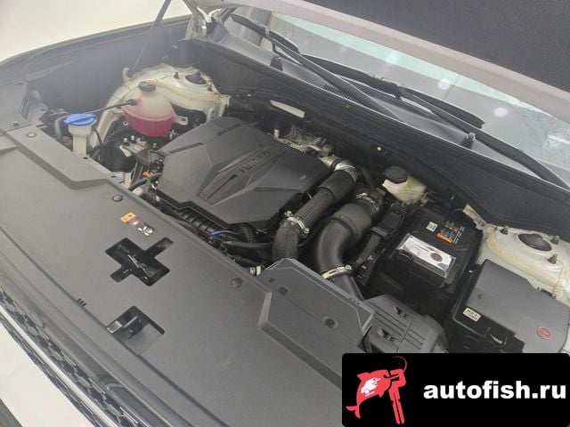 Hyundai Santafe San Tafe (MX5) 2023 года - вид 6