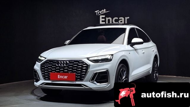 Audi Q5 Q5 (FY) 2023 года - вид 1