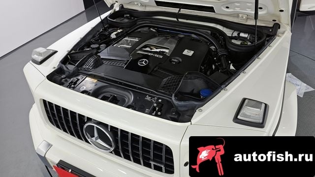 Mercedes-Benz G-Class G-Class W463b 2021 года - вид 6