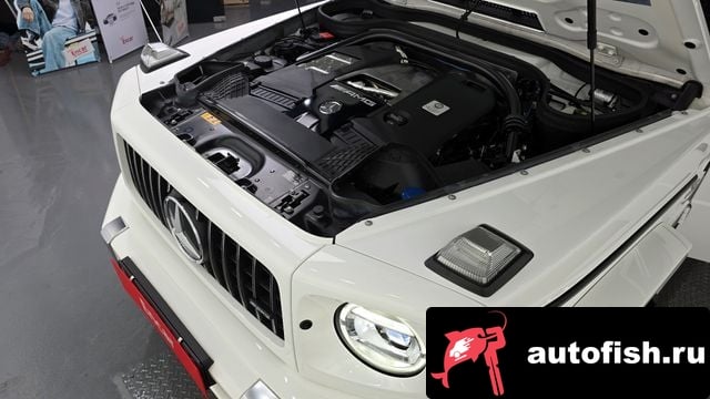 Mercedes-Benz G-Class G-Class W463b 2021 года - вид 6
