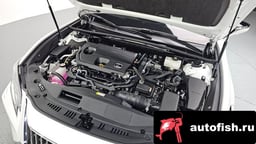 Миниатюра 6