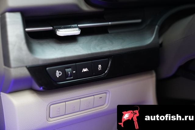 Kia Carnival Carnival 4th generation 2023 года - вид 12