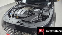 Миниатюра 6