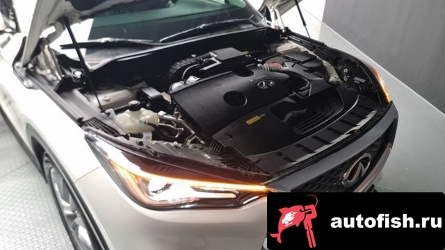 Infiniti QX50 QX50 (P71A) 2019 года - вид 6