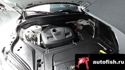 Миниатюра 6