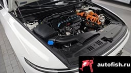 Миниатюра 6