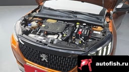 Миниатюра 6