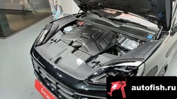 Миниатюра 6