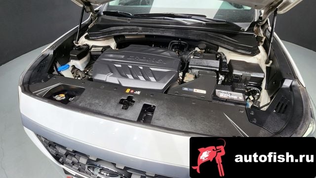 Hyundai Santafe San Tafe TM 2018 года - вид 6