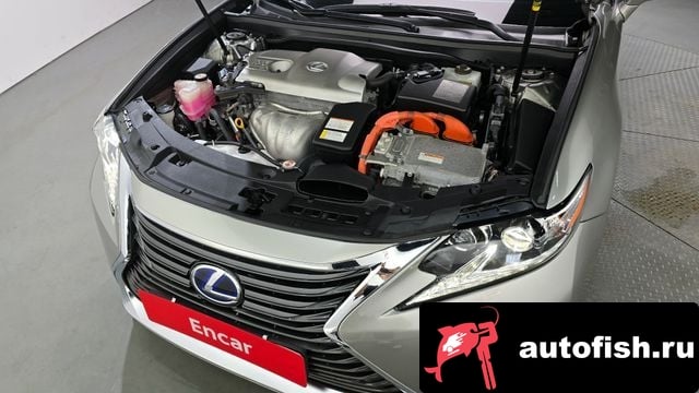 Lexus ES New ES300h 2018 года - вид 6