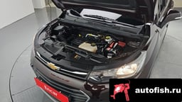 Миниатюра 6