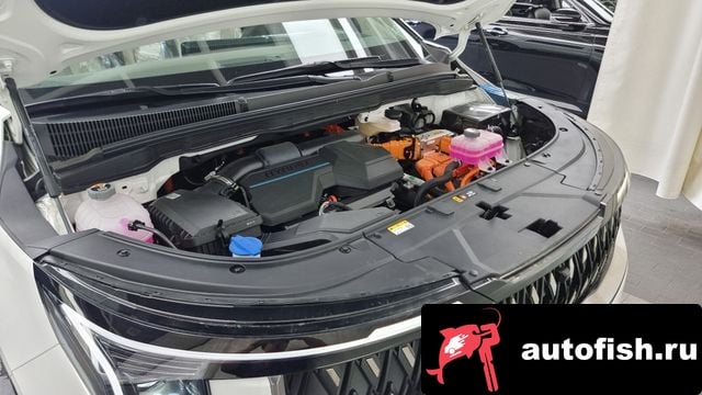 Kia Carnival The New Carnival 4th Generation 2024 года - вид 6