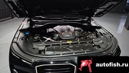 Миниатюра 6