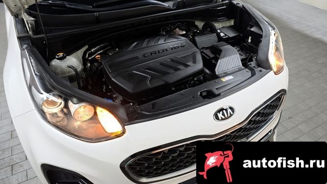 Kia Sportage Sportage The Bold 2018 года - вид 6