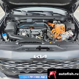 Миниатюра 6