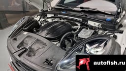 Миниатюра 6