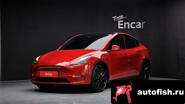 Tesla Model Y Model Y 2021 года - вид 1