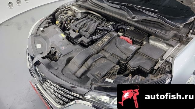 Renault Korea (Samsung) SM6 The New SM6 2021 года - вид 6