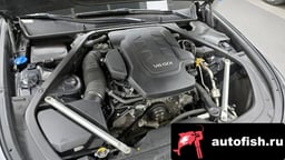 Миниатюра 6