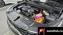 Миниатюра 6