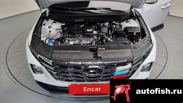 Hyundai Tucson Tucson (NX4) 2023 года - вид 6