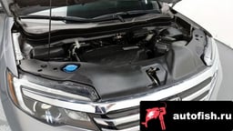 Миниатюра 6