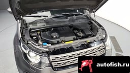 Миниатюра 6