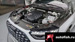 Миниатюра 6