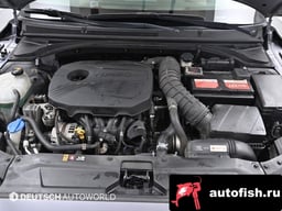 Миниатюра 6