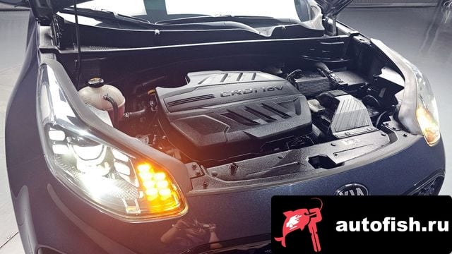 Kia Sportage Sportage The Bold 2018 года - вид 6