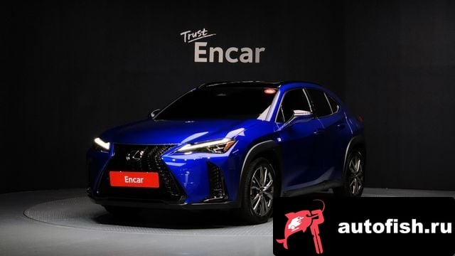 Lexus UX UX300h 2024 года - вид 1