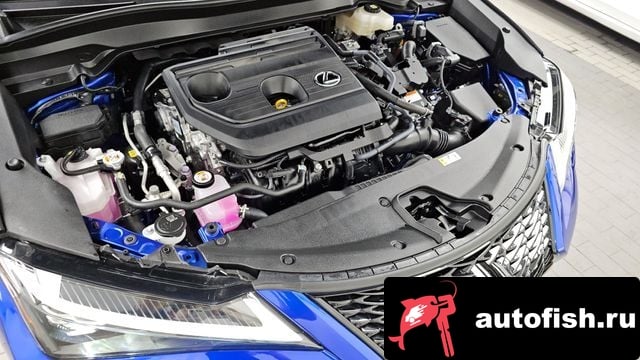 Lexus UX UX300h 2024 года - вид 6