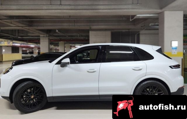 Porsche Cayenne Cayenne (PO536) 2024 года - вид 3