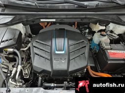 Миниатюра 6