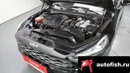 Миниатюра 6