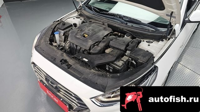 Hyundai Sonata Sonata New Rise 2018 года - вид 6