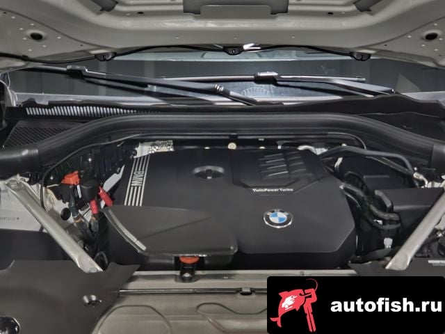 BMW X4 X4 (G02) 2024 года - вид 6