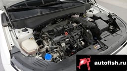 Миниатюра 6