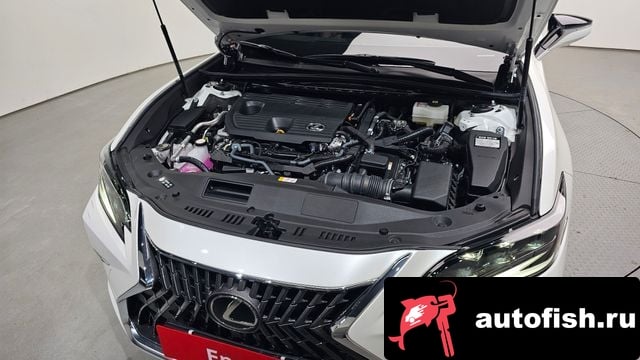 Lexus ES ES300h 7th generation 2024 года - вид 6