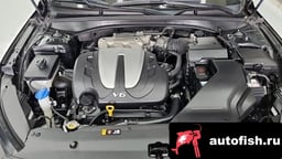 Миниатюра 6