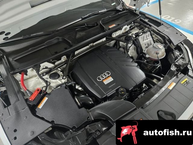 Audi Q5 Q5 (FY) 2023 года - вид 5