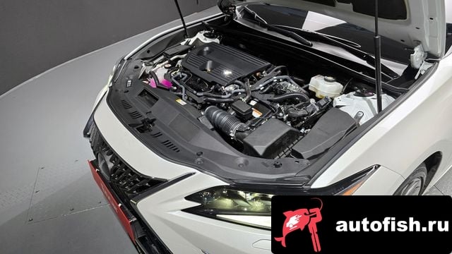 Lexus ES ES300h 7th generation 2024 года - вид 6