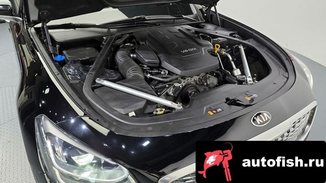 Kia K9 More K9 2018 года - вид 6