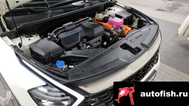 Kia Sportage Sportage 5th Generation Hybrid 2023 года - вид 6