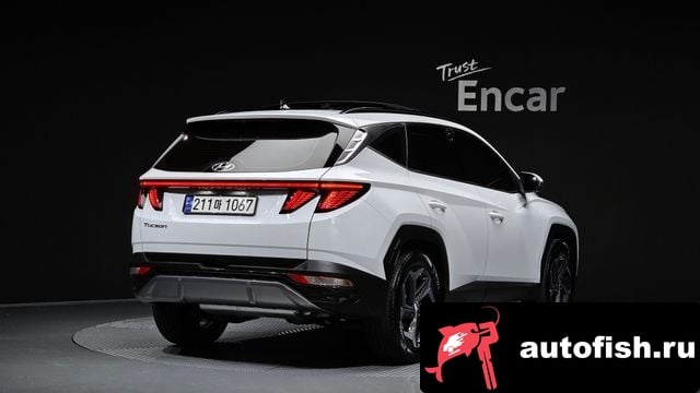 Hyundai Tucson Tucson (NX4) 2023 года - вид 2