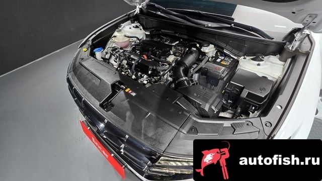 Hyundai Tucson Tucson (NX4) 2023 года - вид 6