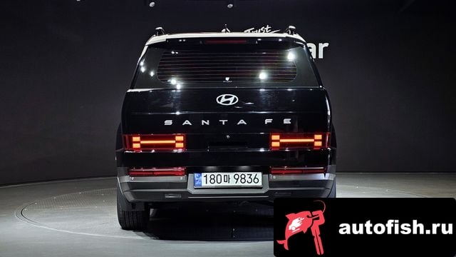 Hyundai Santafe San Tafe (MX5) 2024 года - вид 4