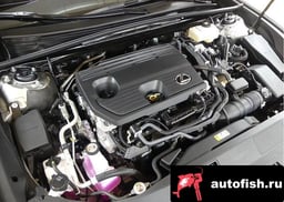 Миниатюра 6