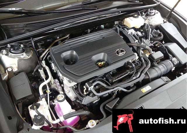 Lexus ES ES300h 7th generation 2024 года - вид 6