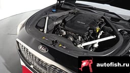 Миниатюра 5